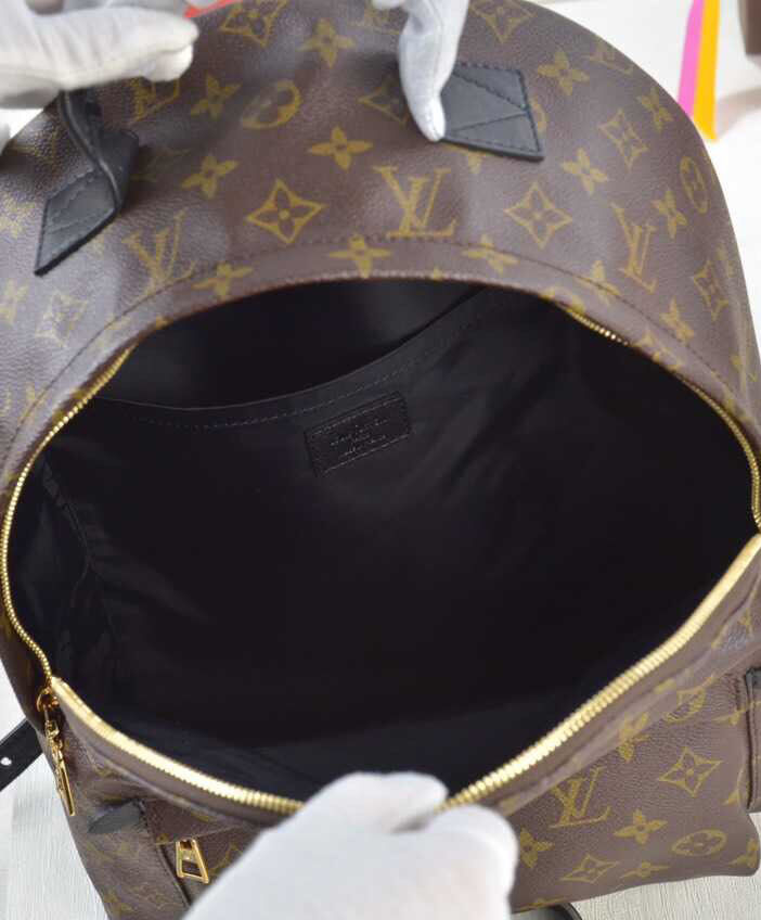 Louis vuitton Palm Springs Backpack PM M41561 Black
